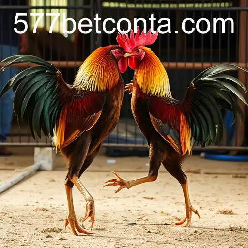 Security and Trust 577bet - International Licenses and Certifications